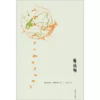 11魔法师(纳博科夫文集)9787532762460LL