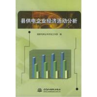 11县供电企业经济活动分析9787508432755LL
