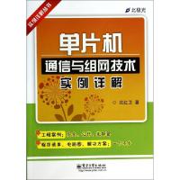 11单片机通信与组网技术实例详解/实例详解丛书9787121223426LL