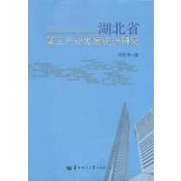 11湖北省第三产业发展统计研究9787562258445LL