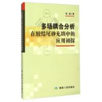 11多场耦合分析在胶结尾砂充填中的应用初探9787502048983LL