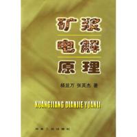 11矿浆电解原理9787502425531LL