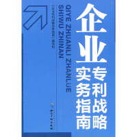 11企业专利战略实务指南9787513003896LL