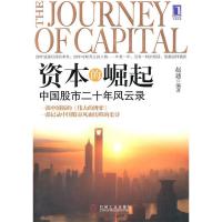 11资本的崛起中国股市二十年风云录9787111323532LL
