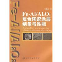 11Fe-Al/Al2O3复合陶瓷涂层制备与性能9787122108838LL