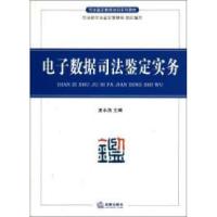 11电子数据司法鉴定实务9787511824219LL