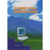 11西北重要天气成因及数值预报方法研究9787502933104LL