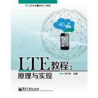 11LTE教程:原理与实现9787121219153LL