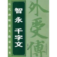 11智永千字文——历代碑帖放大临摹范本9787532263103LL