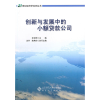 11创新与发展中的小额贷款公司9787811108064LL