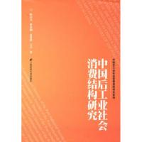 11中国后工业社会消费结构研究9787564209834LL