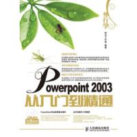 11外行学PowerPoint2003从入门到精通9787115221544LL
