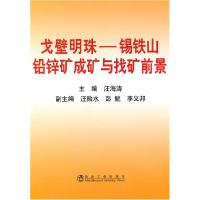 11戈壁明珠-锡铁山铅锌矿成矿与找矿前景9787502454487LL