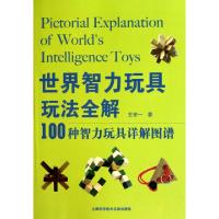 11世界智力玩具玩法全解(100种智力玩具详解图谱)9787543946095LL