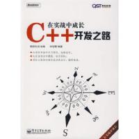 11在实战中成长——C++开发之路9787121083310LL