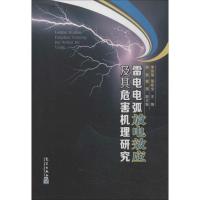 11雷电电弧放电效应及其危害机理研究9787502958992LL