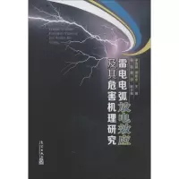 11雷电电弧放电效应及其危害机理研究9787502958992LL