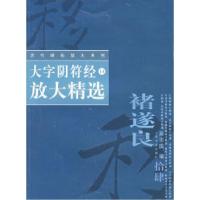 11大字阴符经放大精选——历代碑帖放大系列9787806729922LL