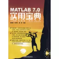11MATLAB7.0实用宝典9787113094263LL