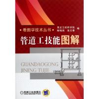 11管道工技能图解/看图学技术丛书9787111379614LL