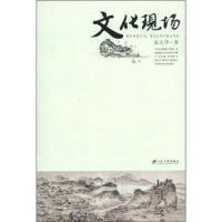 11文化现场9787811302905LL