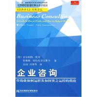 11企业咨询:咨询业如何运转及如何使之运转的指南9787811223231