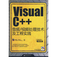 11VisualC++音频/视频处理技术及工程实践9787121078903LL