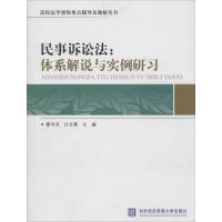 11民事诉讼法:体系解说与实例研习9787566308382LL