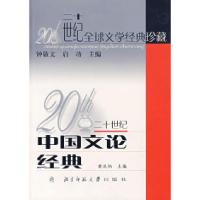 11二十世纪中国文论经典/二十世纪全球文学经典珍藏9787303029952