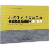 11村镇住宅抗震加固与节能改造集成技术设计图集9787560866819LL