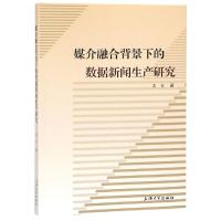 11媒介融合背景下的数据新闻生产研究9787567132726LL