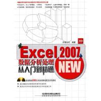 11Excel2007数据分析处理从入门到精通-附赠光盘9787113111632LL