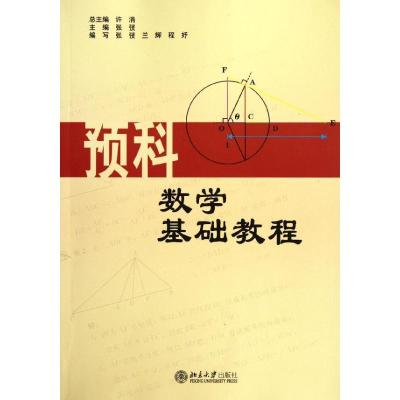 11预科数学基础教程9787301202906LL