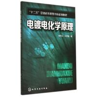 11电镀电化学原理/蔡元兴9787122212108LL