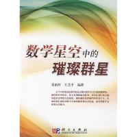 11数学星空中的璀璨群星9787030245724LL