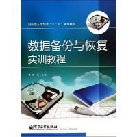 11数据备份与恢复实训教程/杨倩9787121239885LL