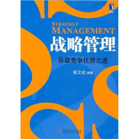 11战略管理获取竞争优势之道9787111308553LL