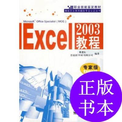 11excel2003教程(专家级)9787121021107LL