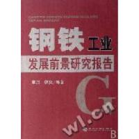 11钢铁工业发展前景研究报告9787505858480LL