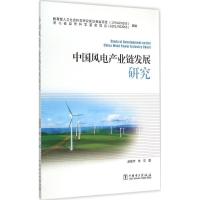 11中国风电产业链发展研究9787512377769LL