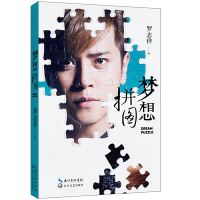 11梦想拼图9787535475916LL