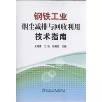 11钢铁工业烟尘减排与回收利用技术指南9787502457396LL