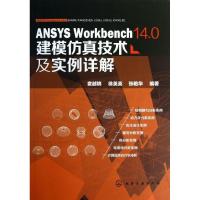 11ANSYS Workbench 14.0建模仿真技术及实例详解9787122181077LL