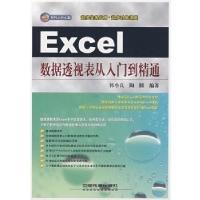 11Excel数据透视表从入门到精通(附赠光盘)9787113086961LL