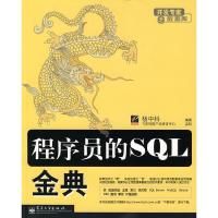 11程序员的SQL金典(开发专家之数据库)9787121048739LL