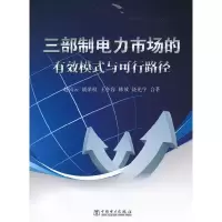 11三部制电力市场的有效模式与可行路径9787512343641LL