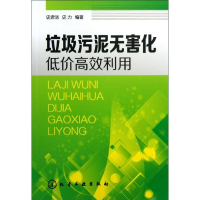 11垃圾污泥无害化低价高效利用9787122164261LL