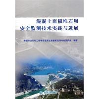 11混疑土面板堆石坝安全监测技术实践与进展9787508477121LL