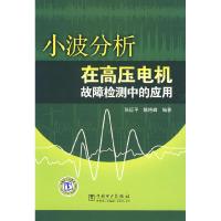 11小波分析在高压电机故障检测中的应用9787508391915LL