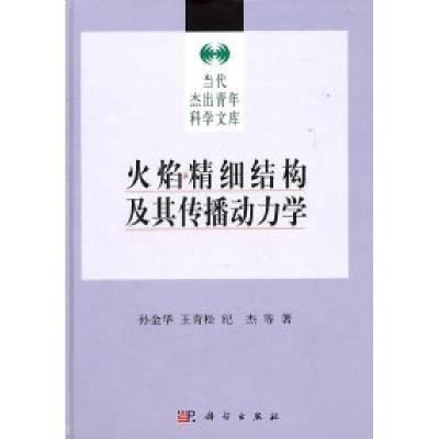 11火焰精细结构及其传播动力学9787030305985LL